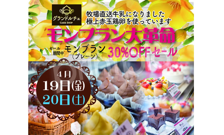 プリントピア市川チラシ